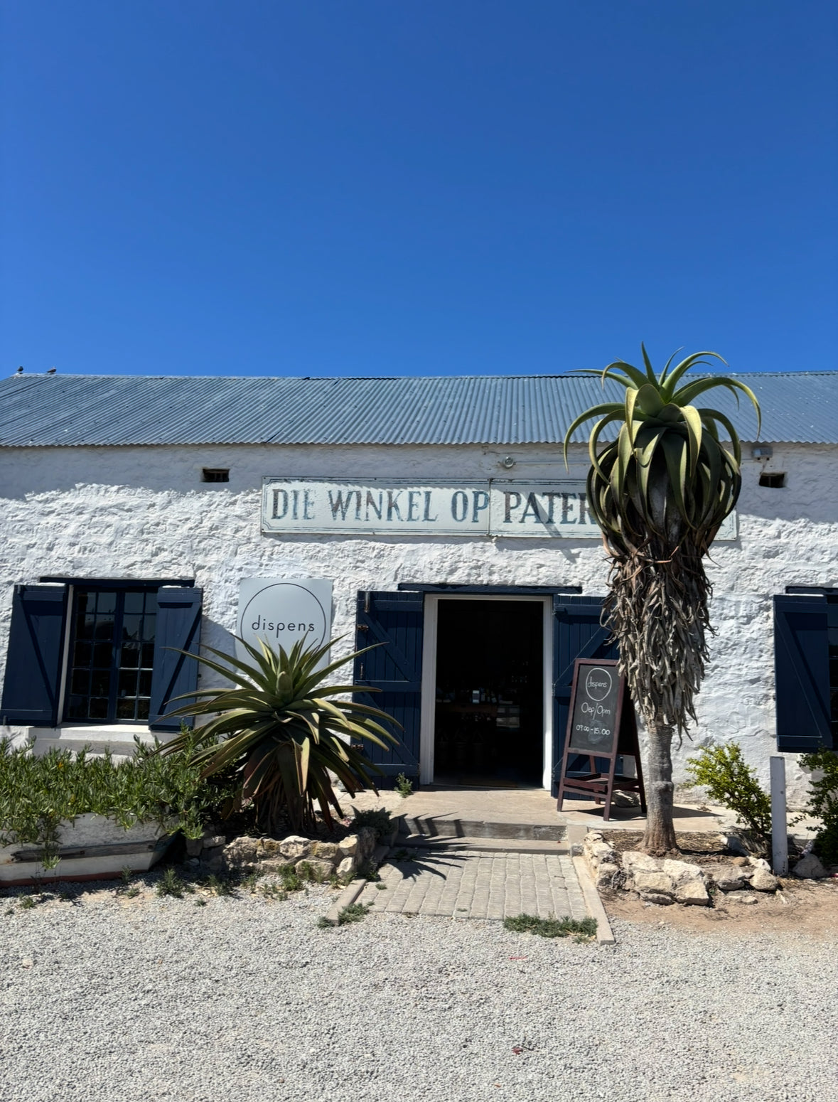 A Weekend to Daydream on the West Coast of South Africa: A Personal Invitation from a member of OOSA
