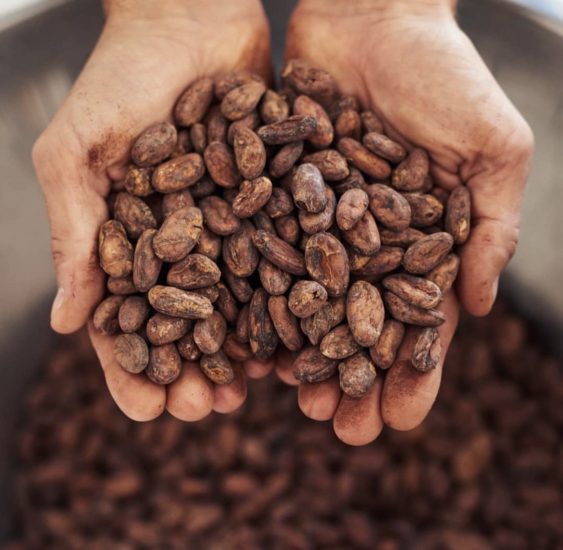 From Bean to Bar: Cape Town’s very own artisanal chocolate maker, Honest Chocolate