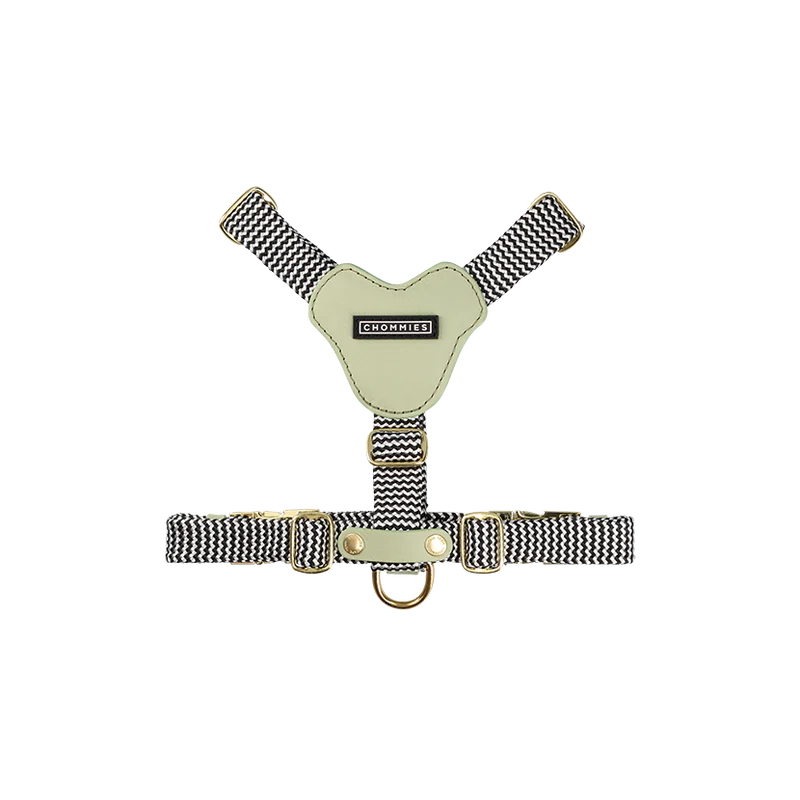 ADJUSTABLE DOG HARNESS Buchu - small