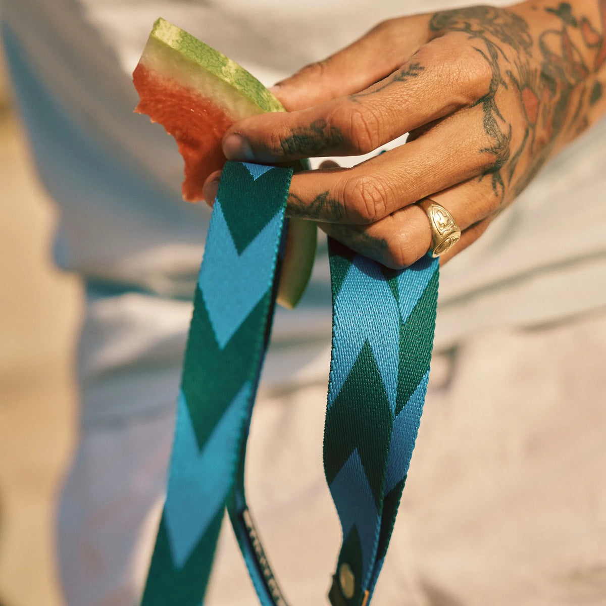 LOOP Everyday Leash - Blue & Green