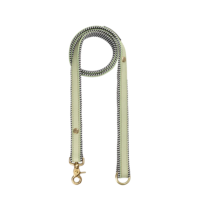 EVERYDAY LEATHER LEASH Buchu - mini