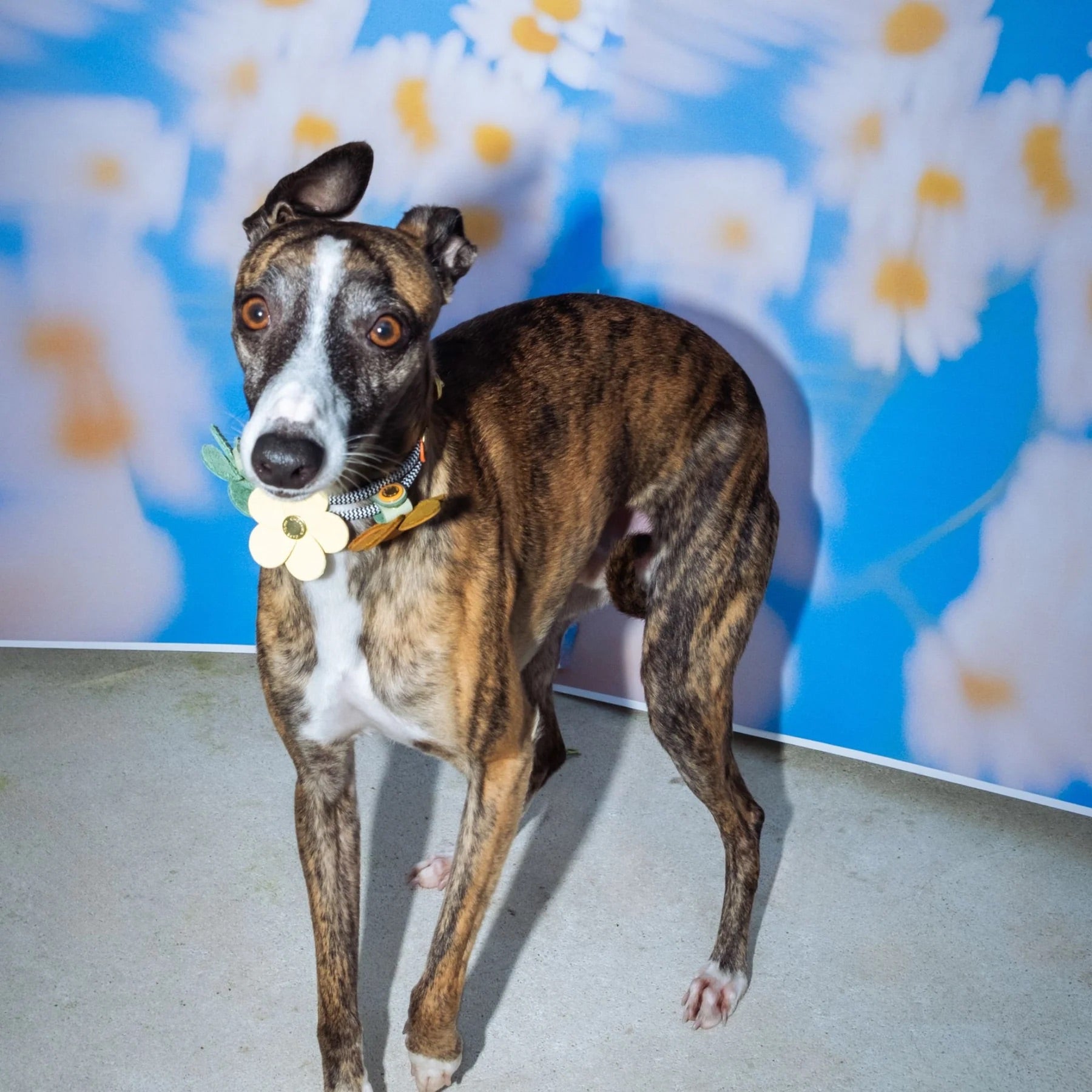 FLOWER charm leather