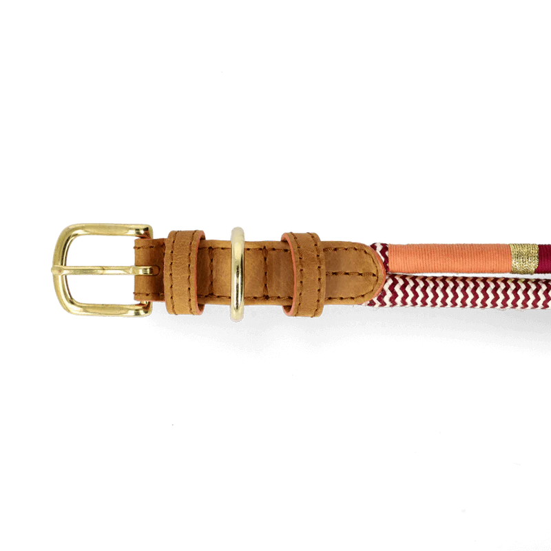 ADJUSTABLE DOG COLLAR autumn