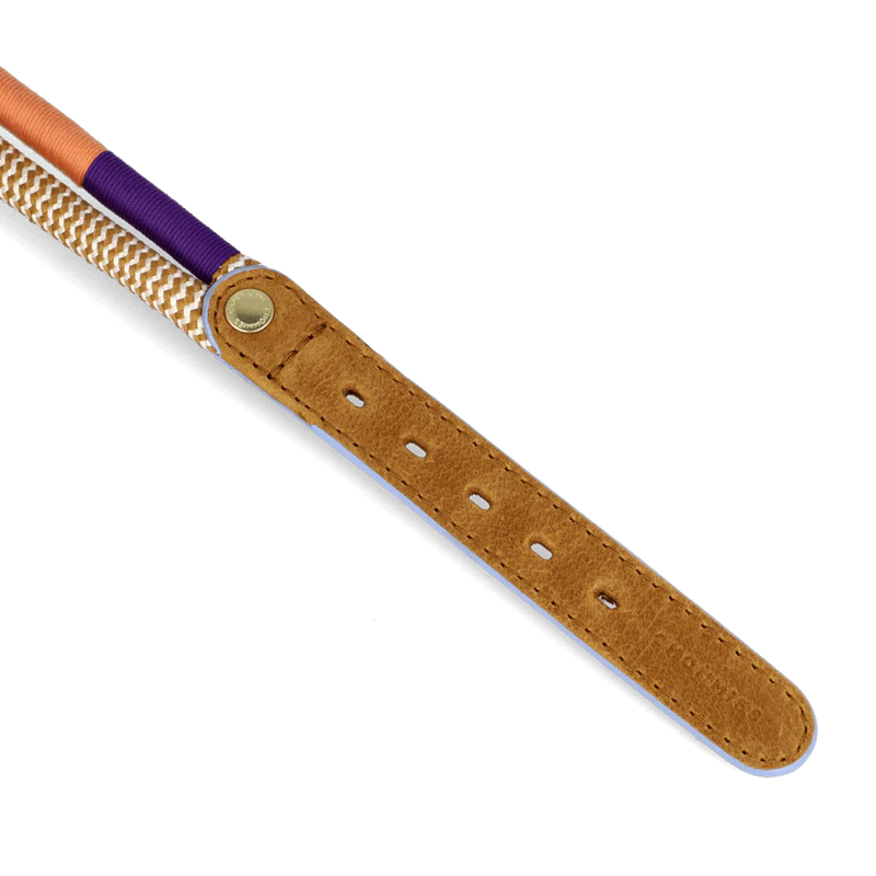 ADJUSTABLE DOG COLLAR summer