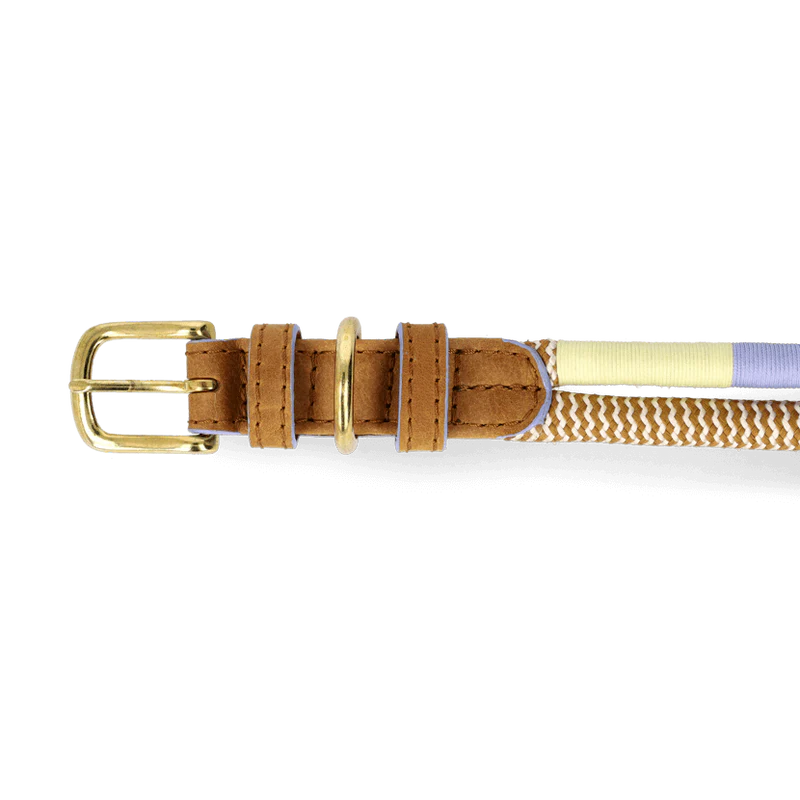 ADJUSTABLE DOG COLLAR summer