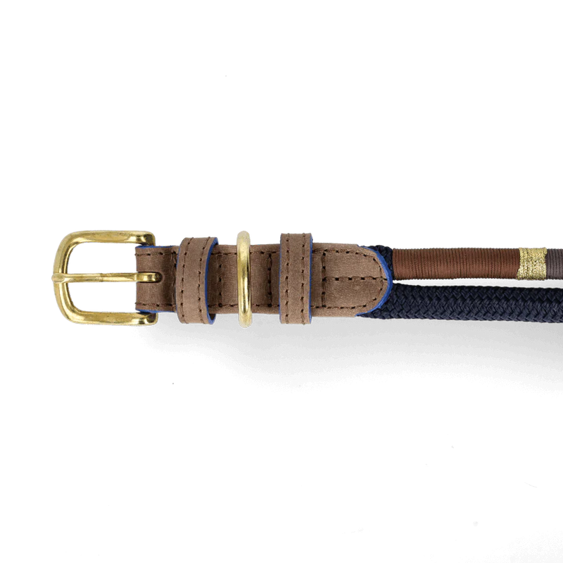 ADJUSTABLE DOG COLLAR winter