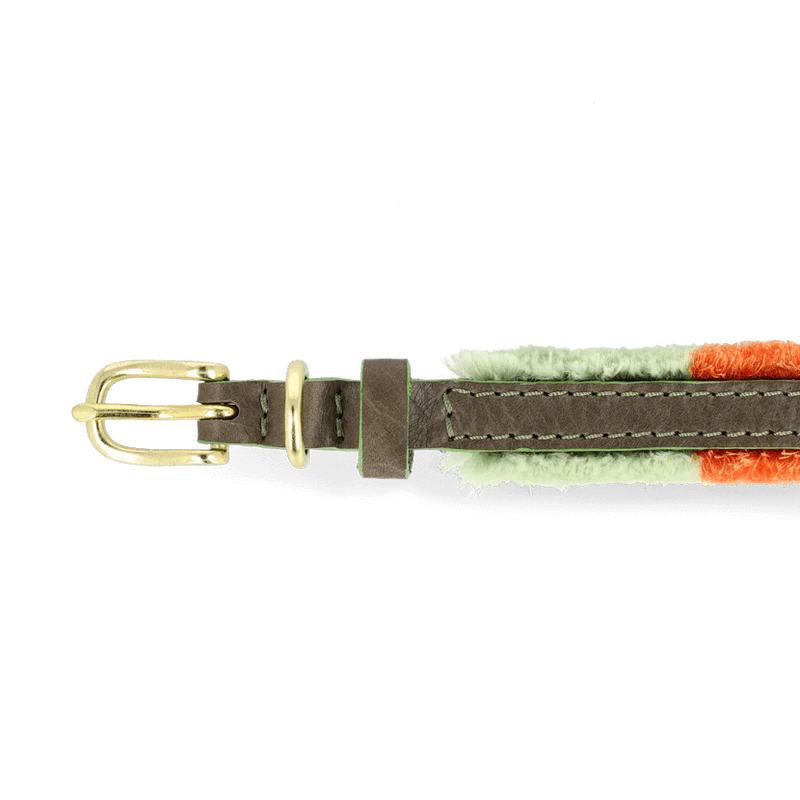 ADJUSTABLE DOG COLLAR pomm pomm spring
