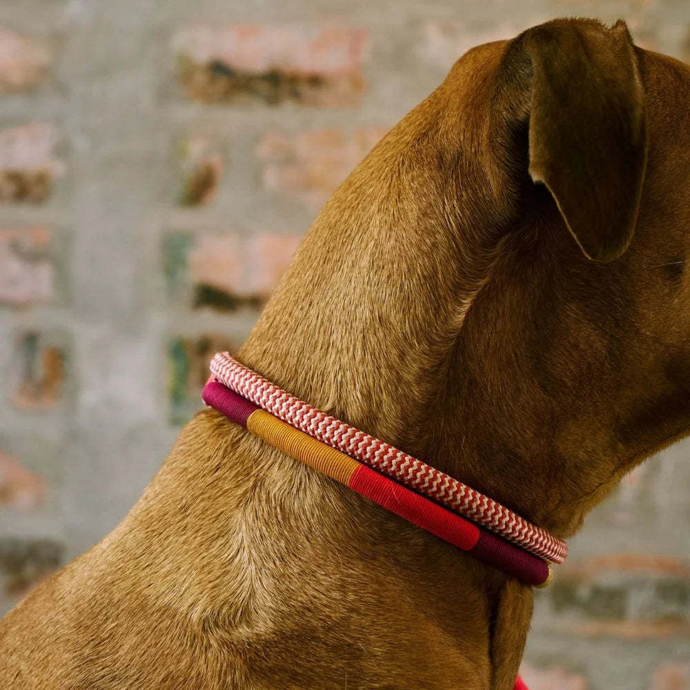 ADJUSTABLE DOG COLLAR fezzy