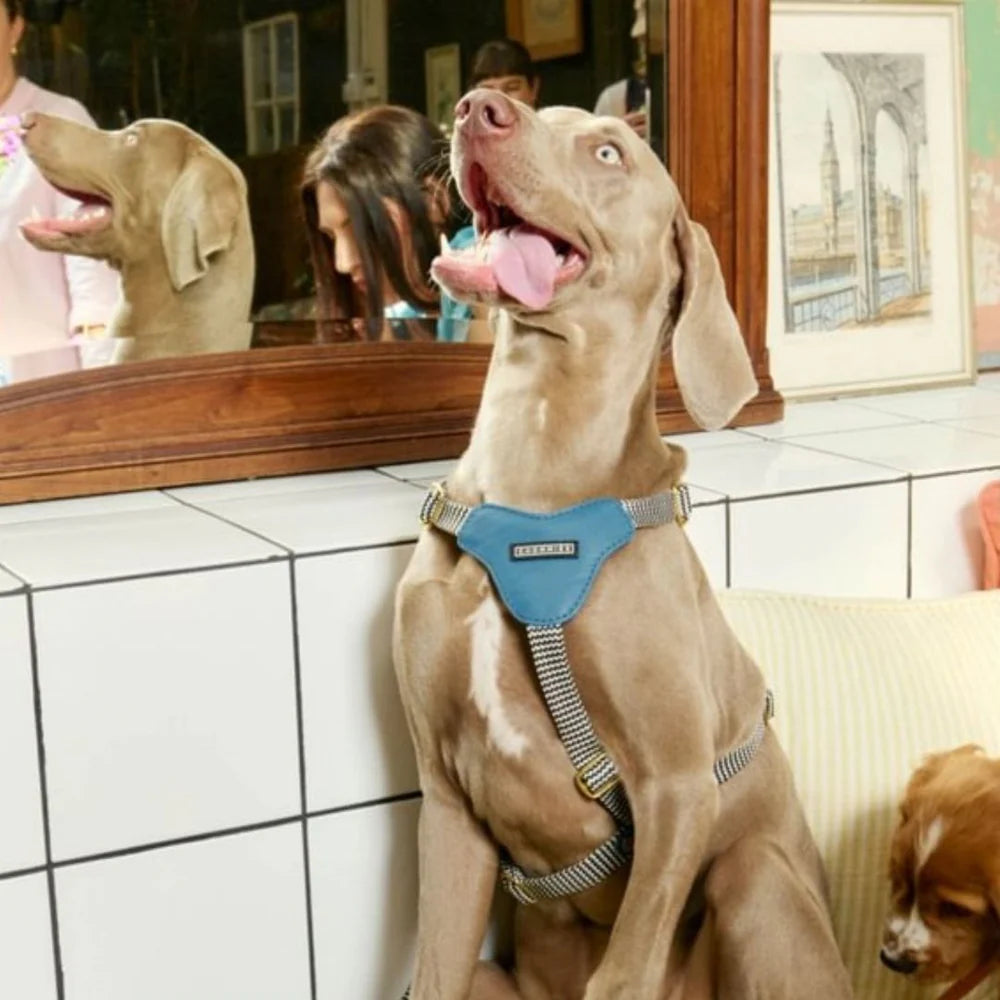 ADJUSTABLE DOG HARNESS bloublommetjie - small