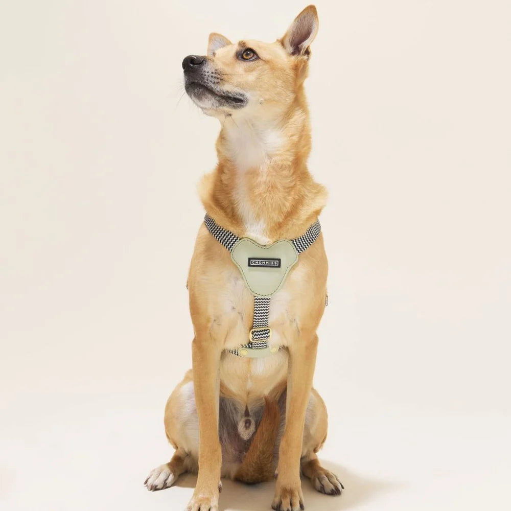 ADJUSTABLE DOG HARNESS Buchu - small