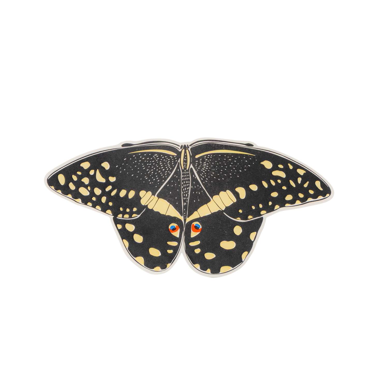 BUTTERFLY card - Citrus Swallowtail