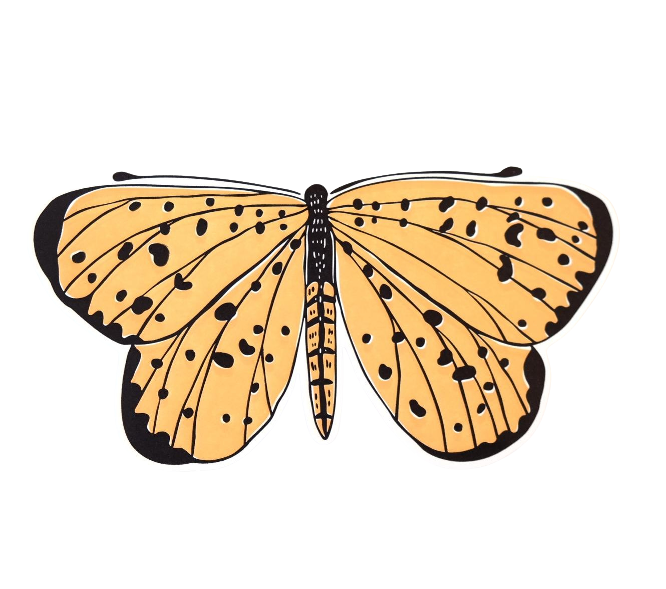 BUTTERFLY card - Polka Dot