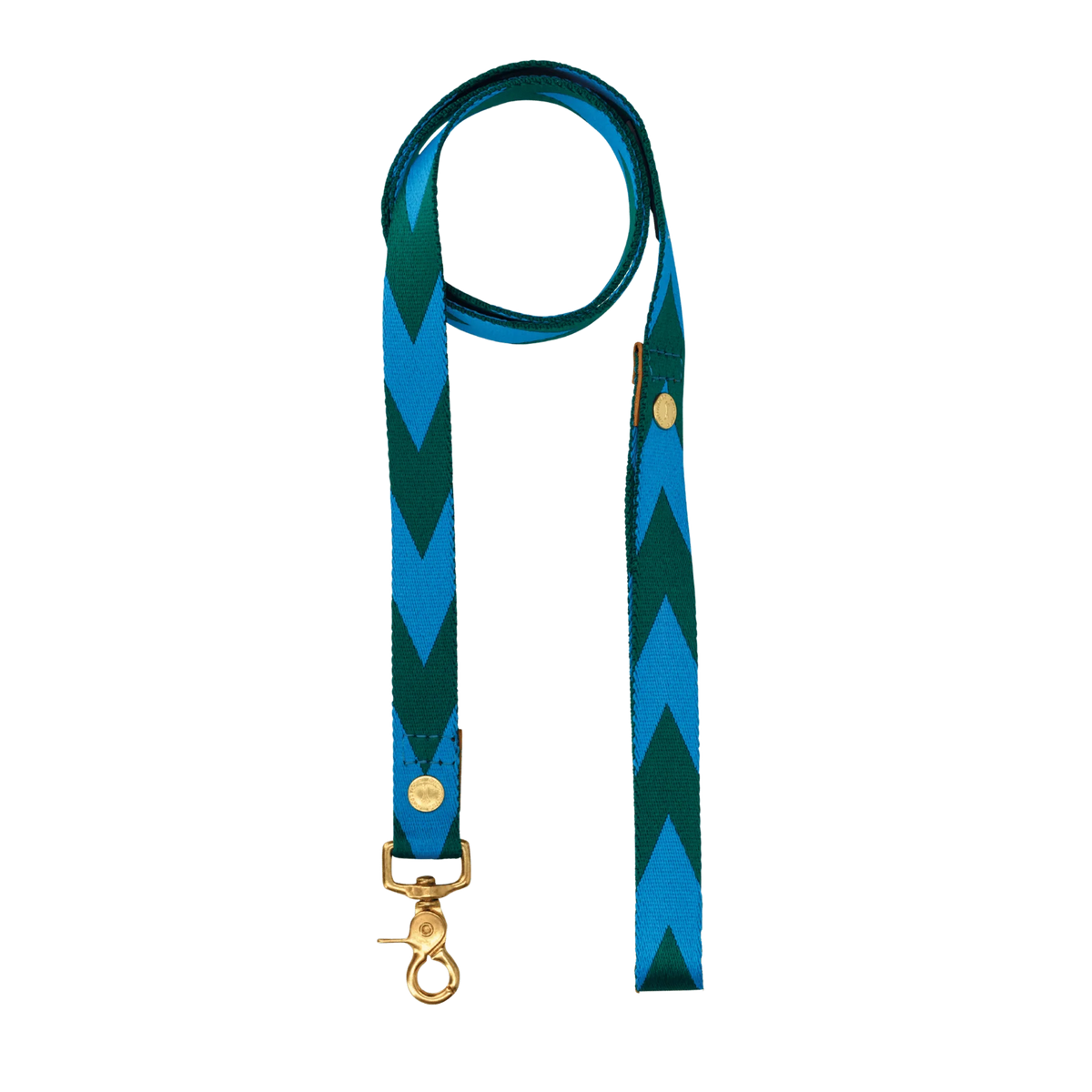 LOOP Everyday Leash - Blue & Green