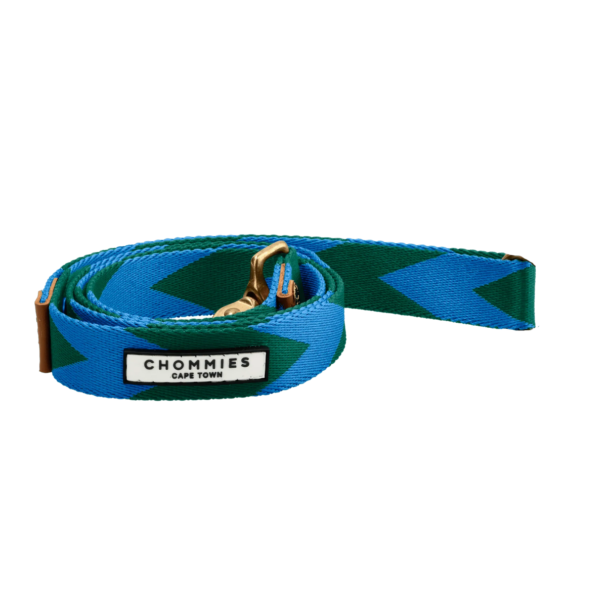 LOOP Everyday Leash - Blue & Green