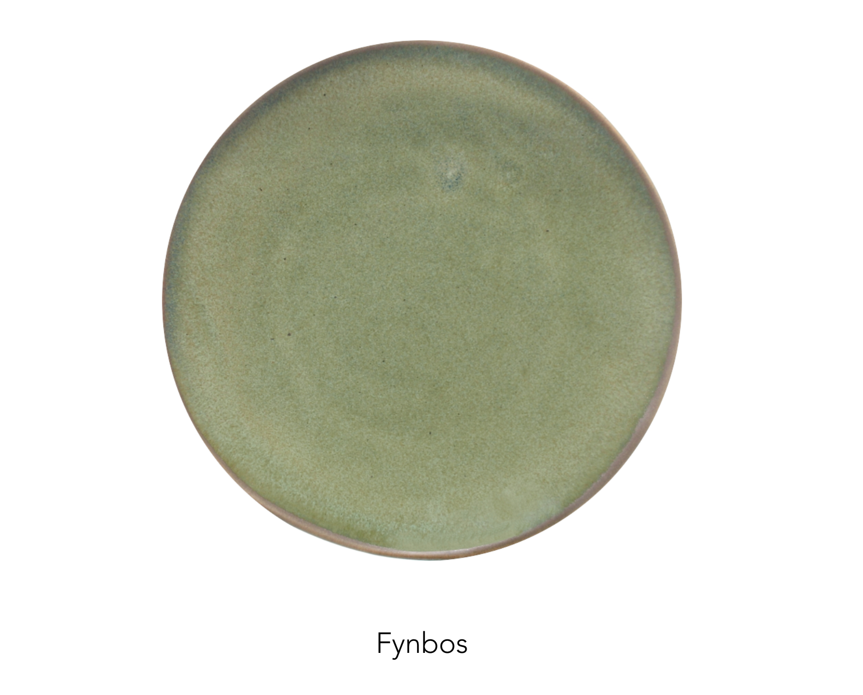 MEDIUM plate