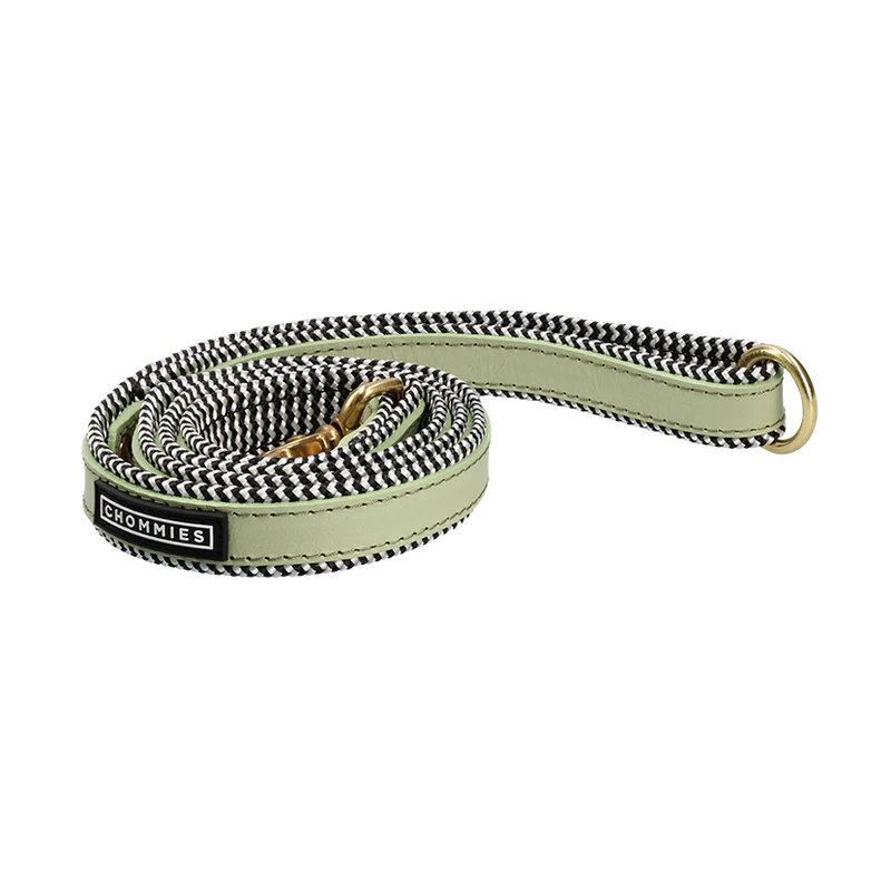 EVERYDAY LEATHER LEASH Buchu - mini