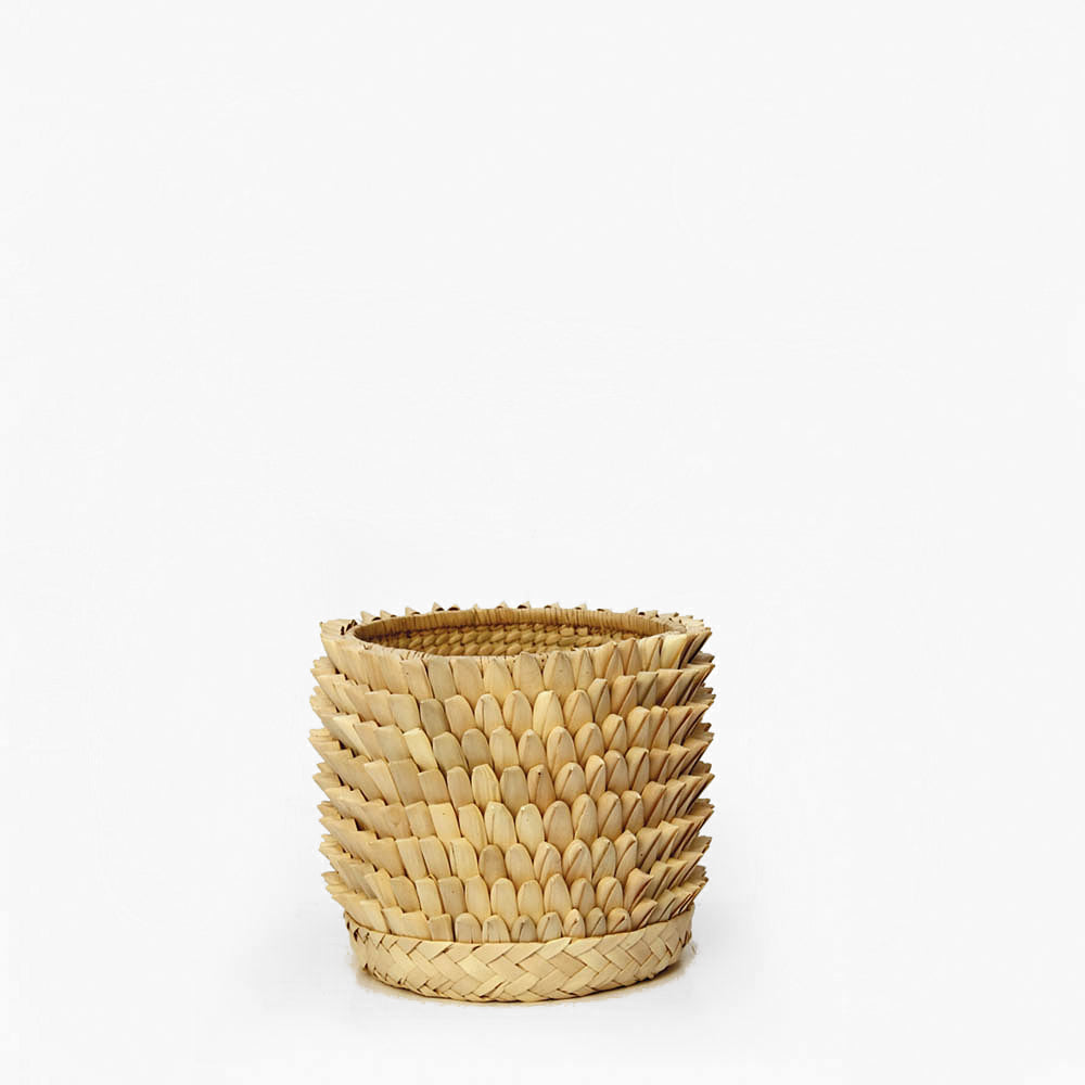 PORCUPINE planter