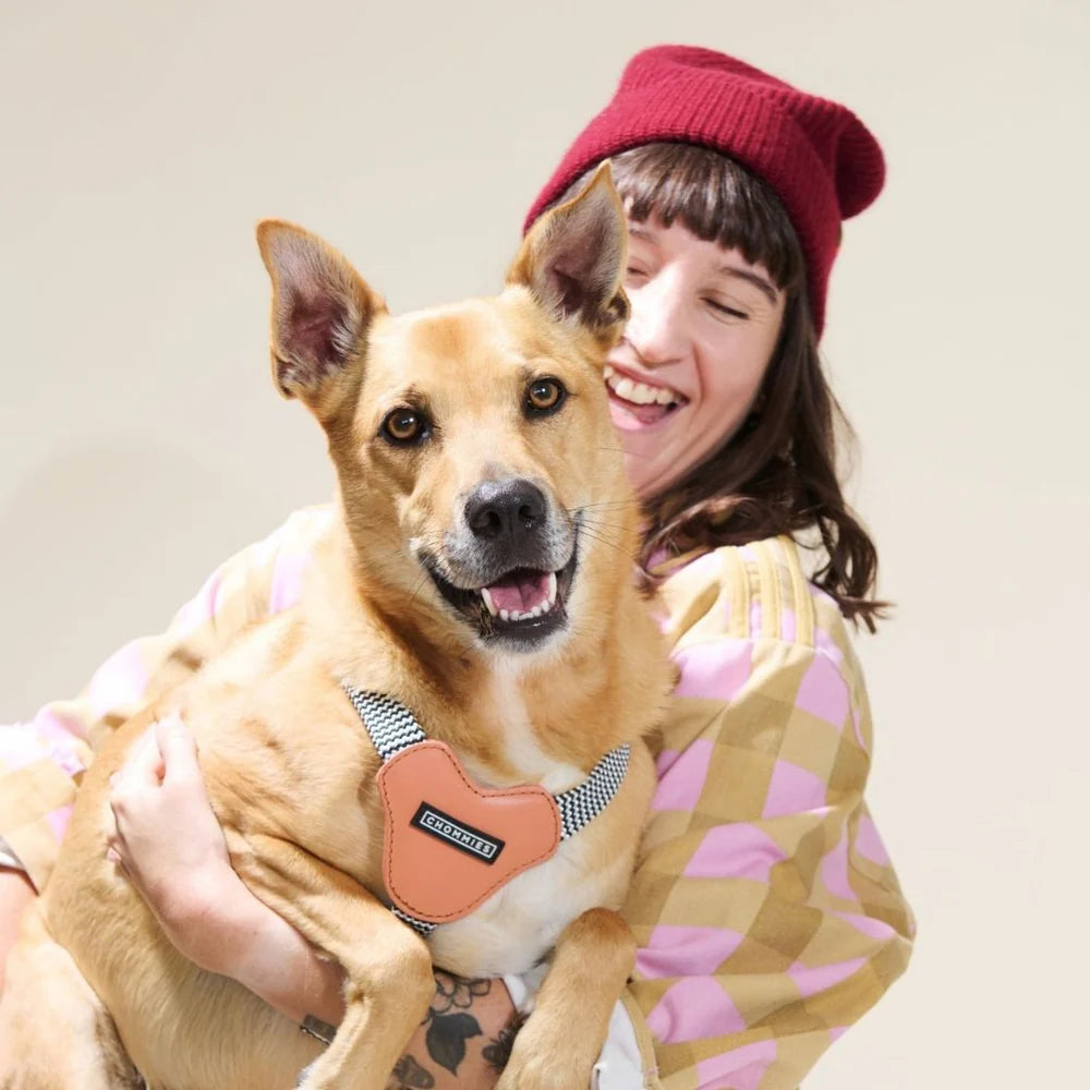 ADJUSTABLE DOG HARNESS Apricot - small