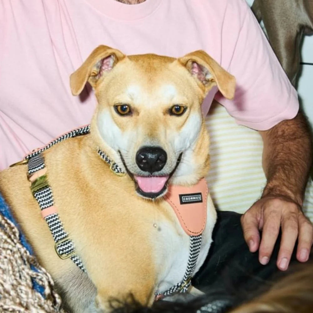 ADJUSTABLE DOG HARNESS Apricot - small