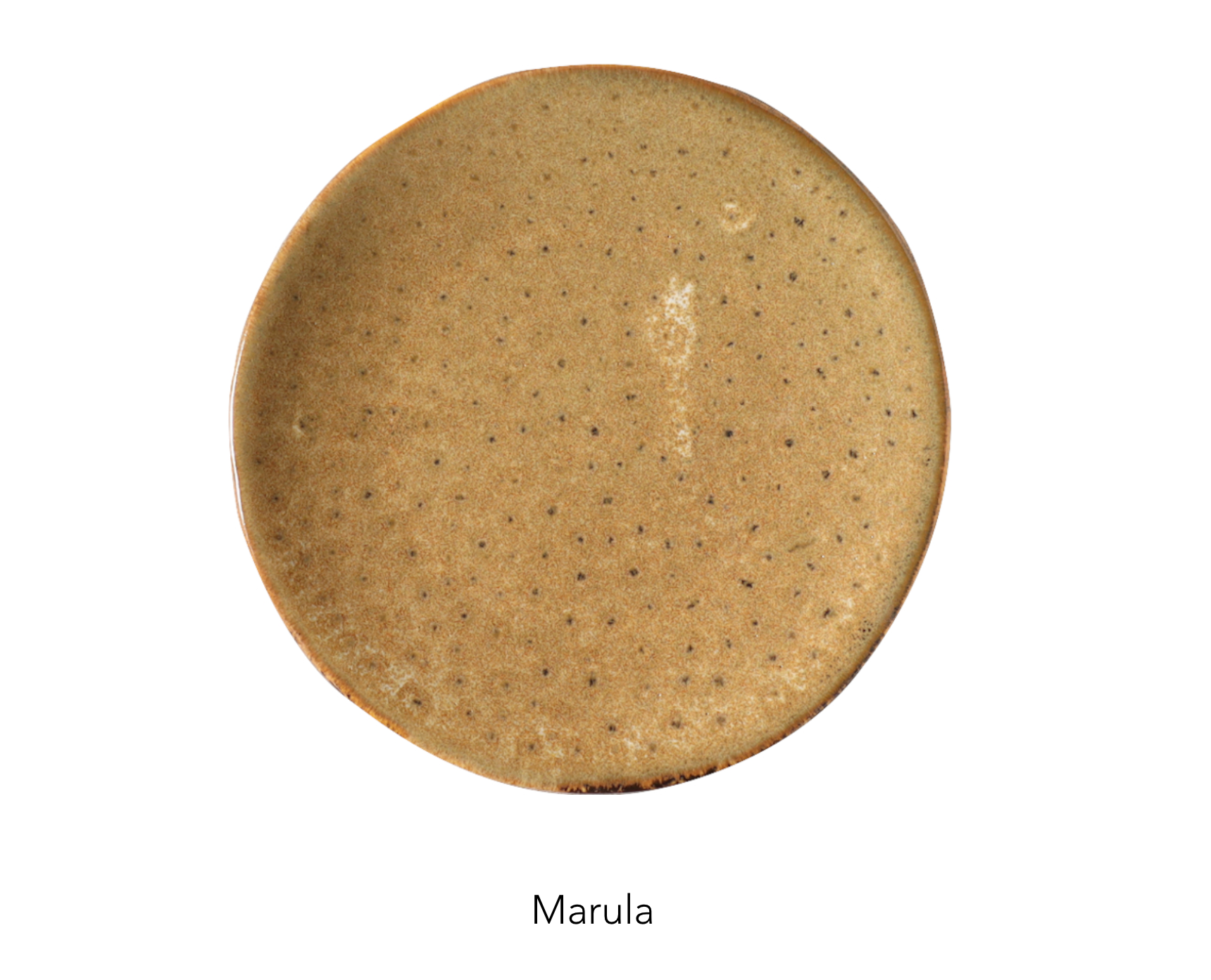 MEDIUM plate