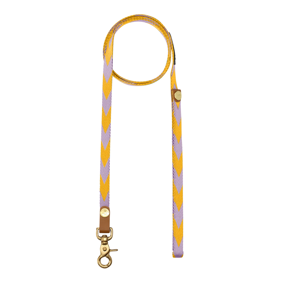 LOOP Everyday Leash - Lilac & Yellow