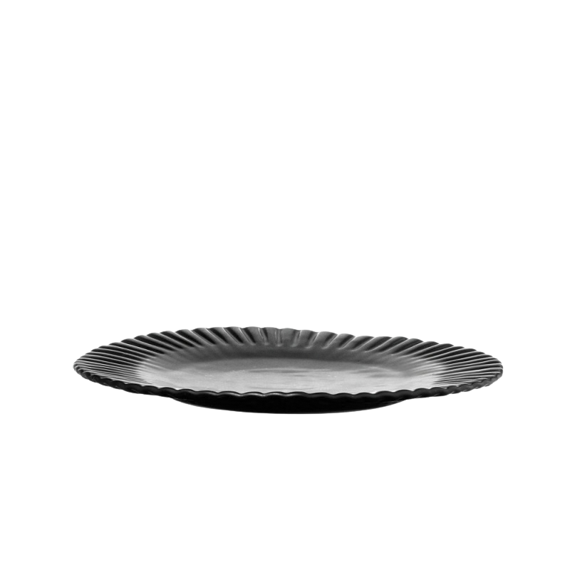 PAPER DINNER plate
