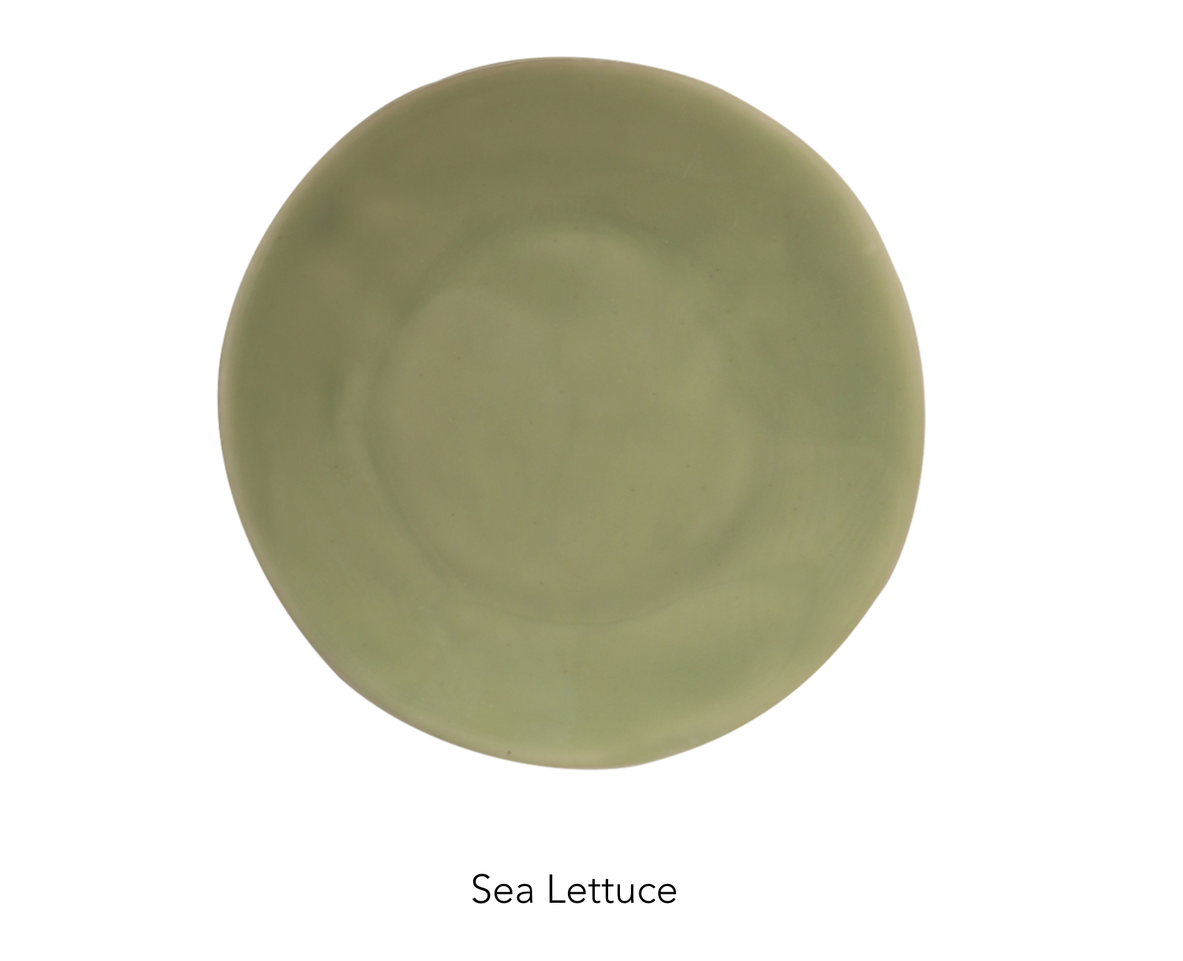 MEDIUM plate