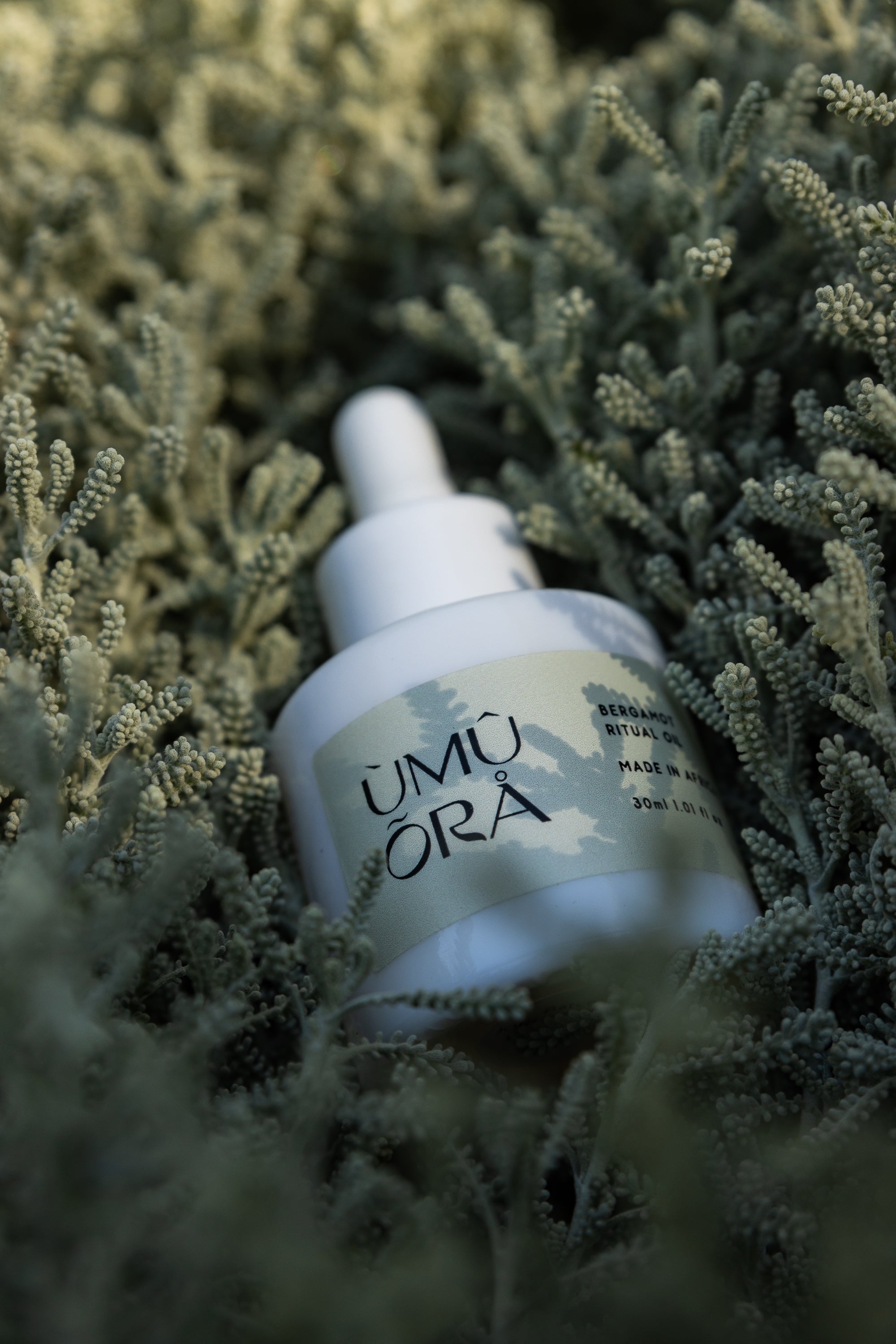 RITUAL OIL bergamont