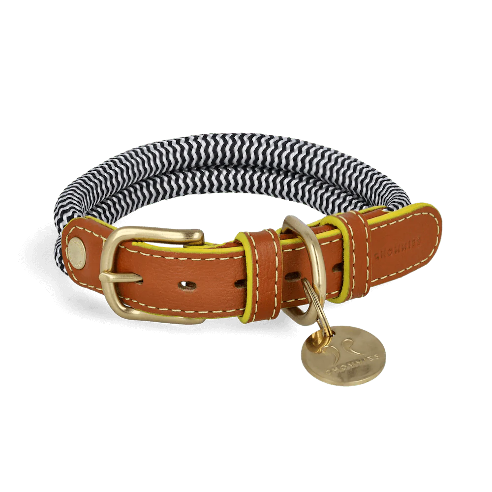 ADJUSTABLE DOG COLLAR sandton yellow edge