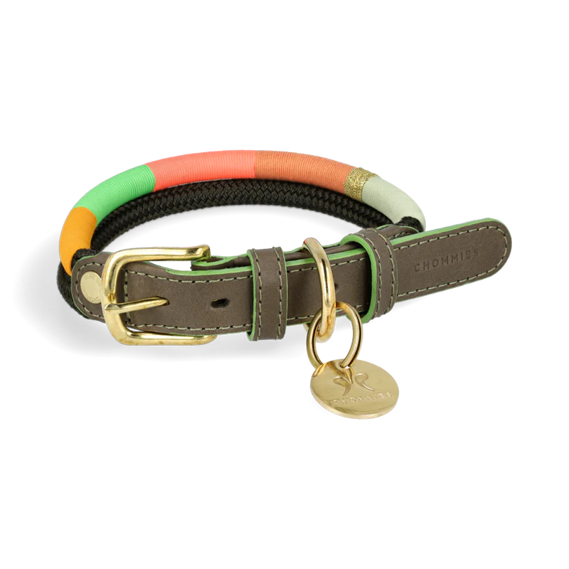 ADJUSTABLE DOG COLLAR spring