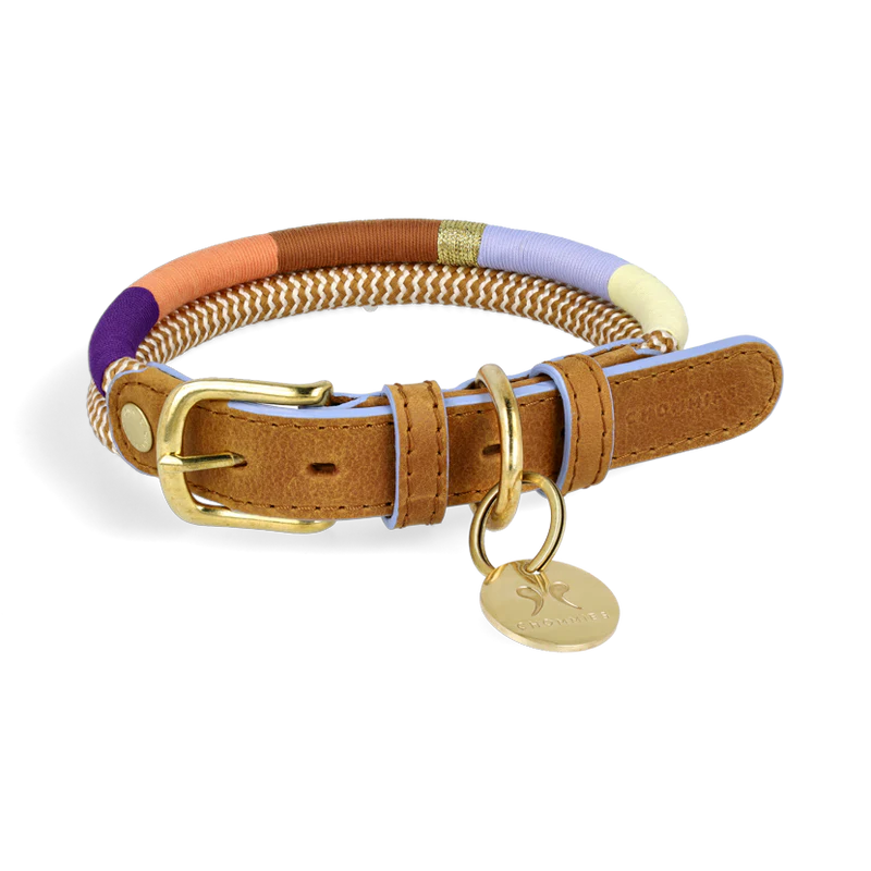 ADJUSTABLE DOG COLLAR summer