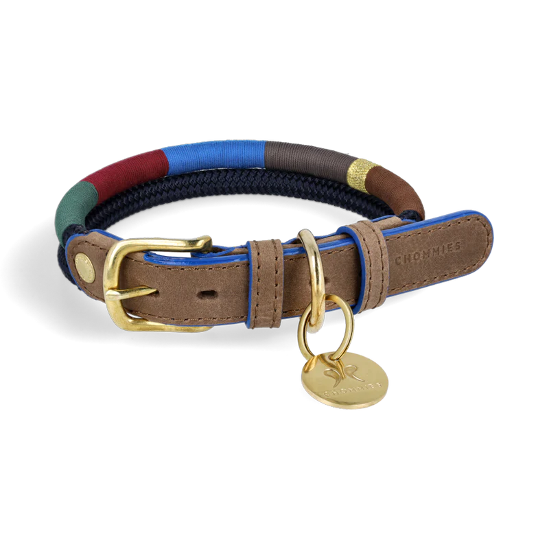 ADJUSTABLE DOG COLLAR winter