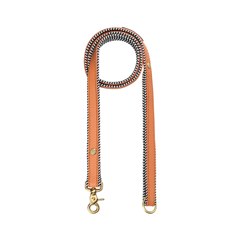 EVERYDAY LEATHER LEASH Apricot - mini