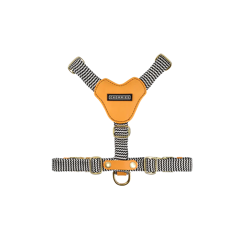 ADJUSTABLE DOG HARNESS kumquat - small