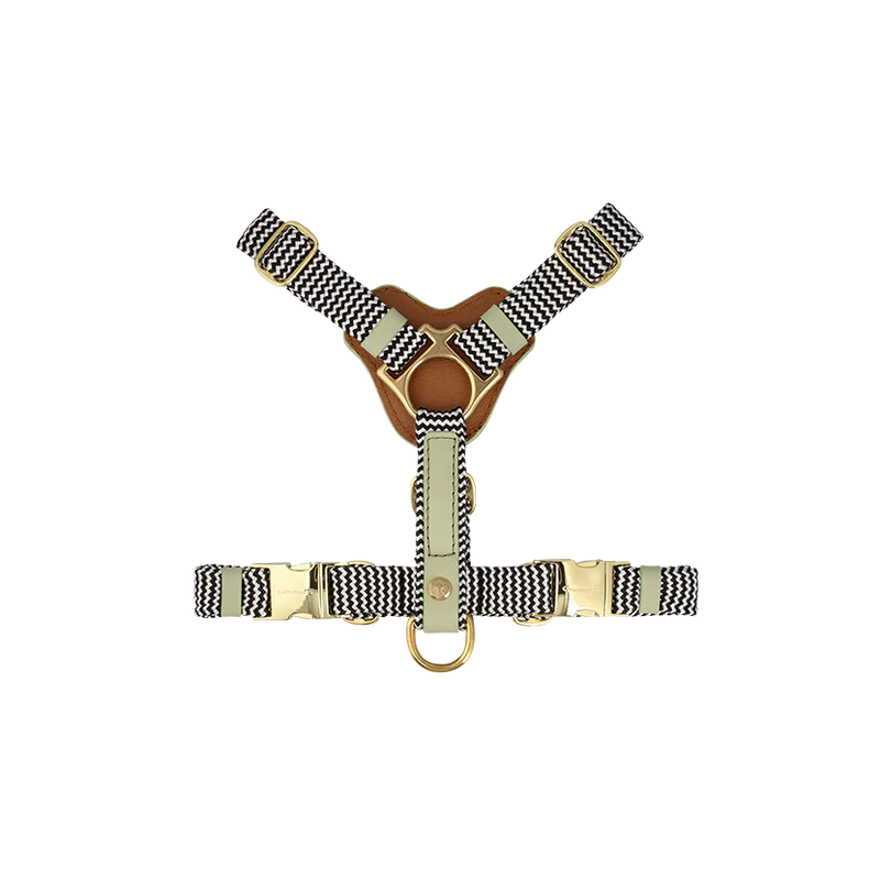 ADJUSTABLE DOG HARNESS Buchu - small