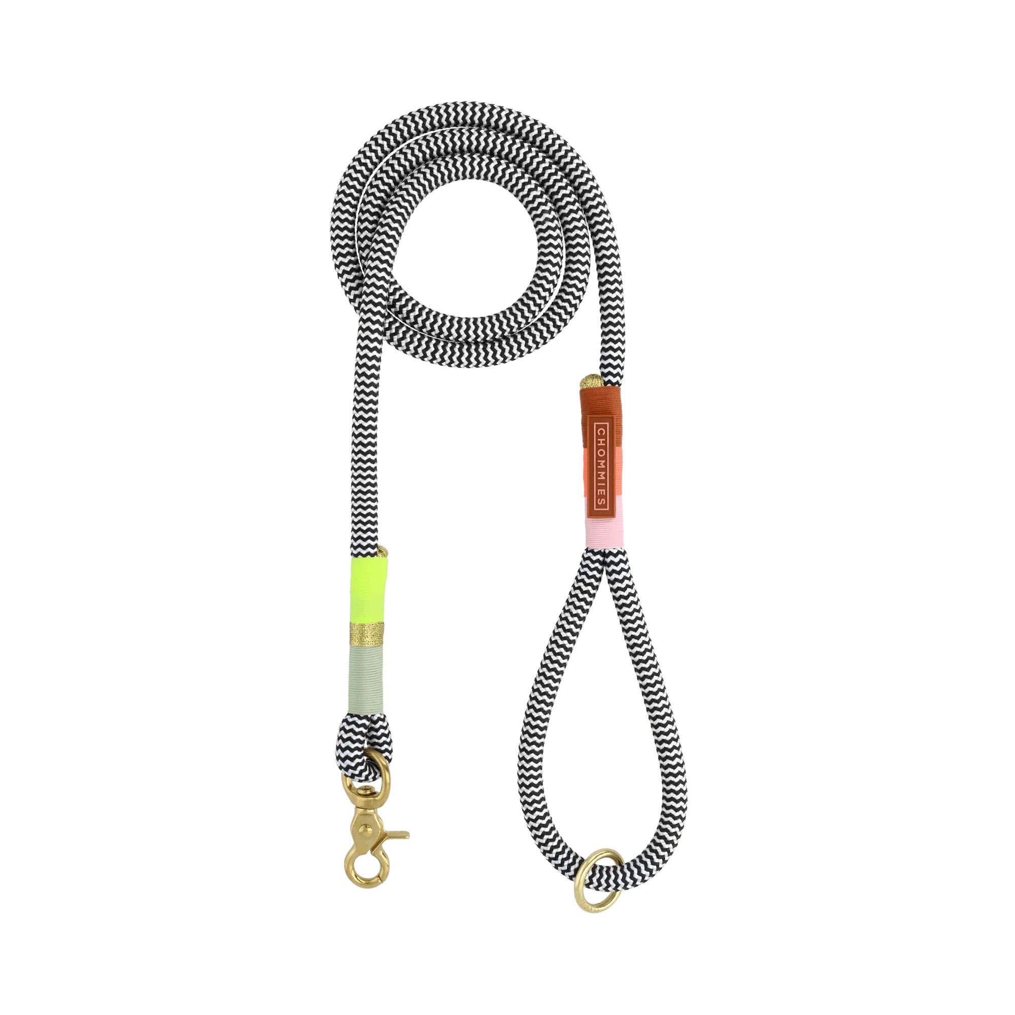 EVERYDAY DOG LEASH popsicle