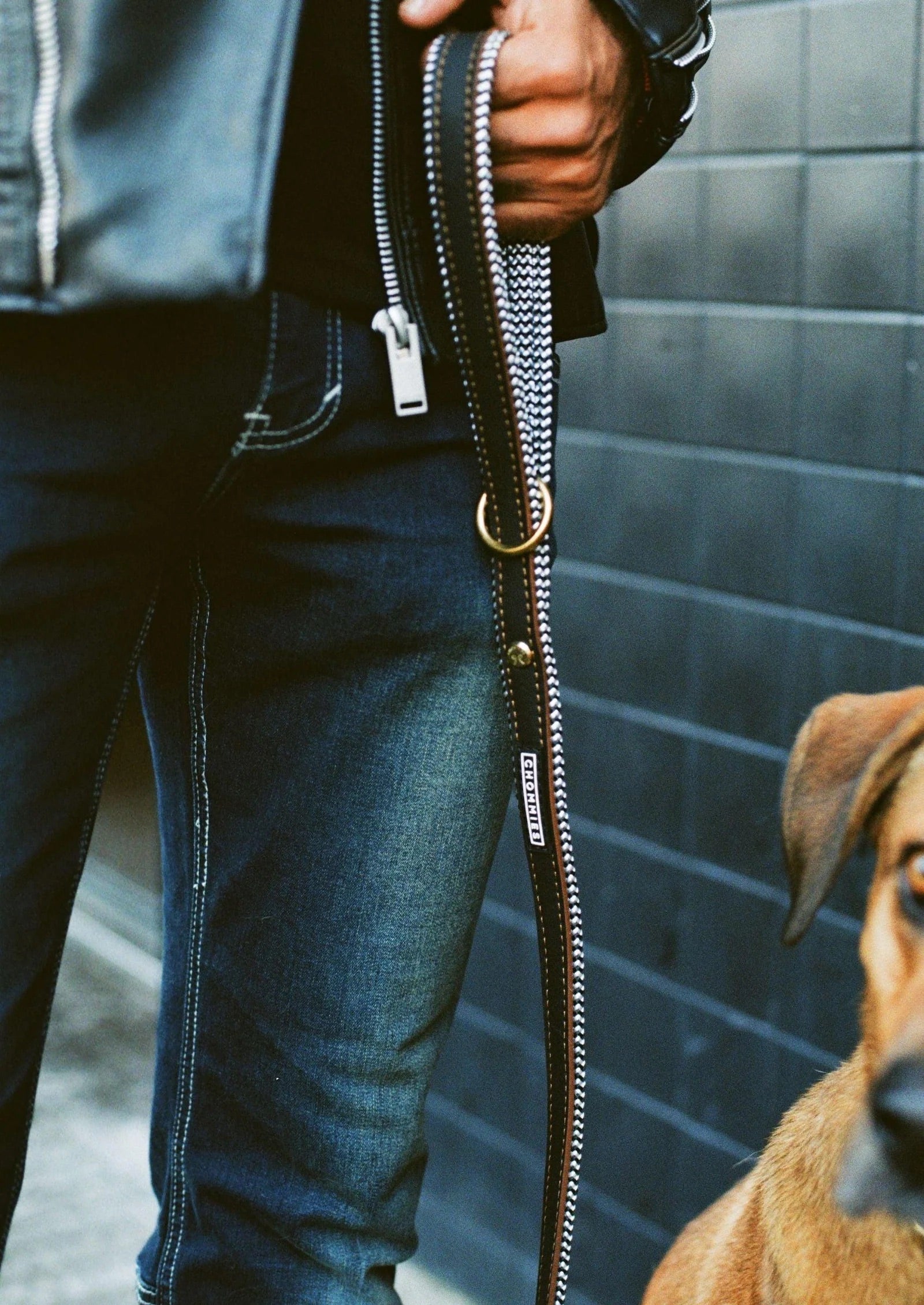 EVERYDAY DOG LEASH hendrix
