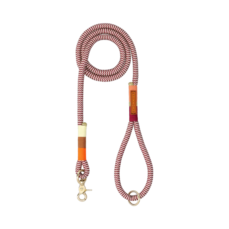 EVERYDAY DOG LEASH autumn