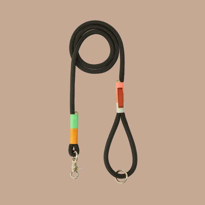 EVERYDAY DOG LEASH spring