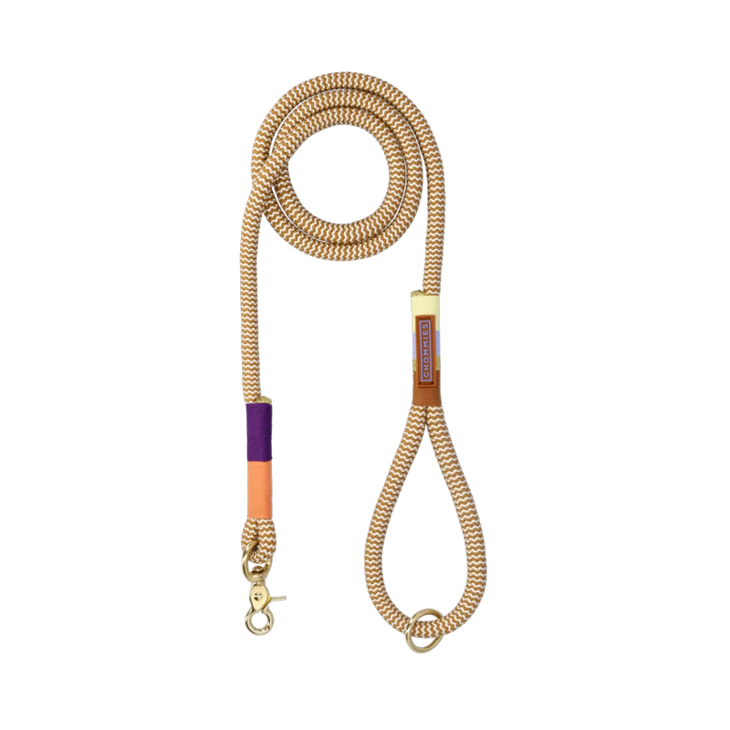 EVERYDAY DOG LEASH summer