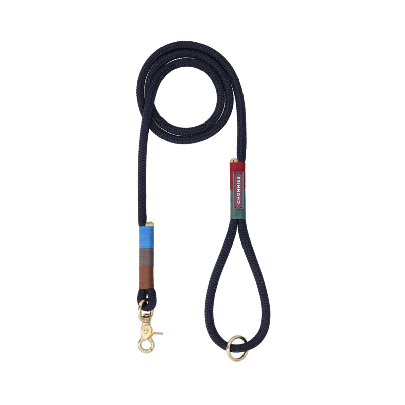 EVERYDAY DOG LEASH spring
