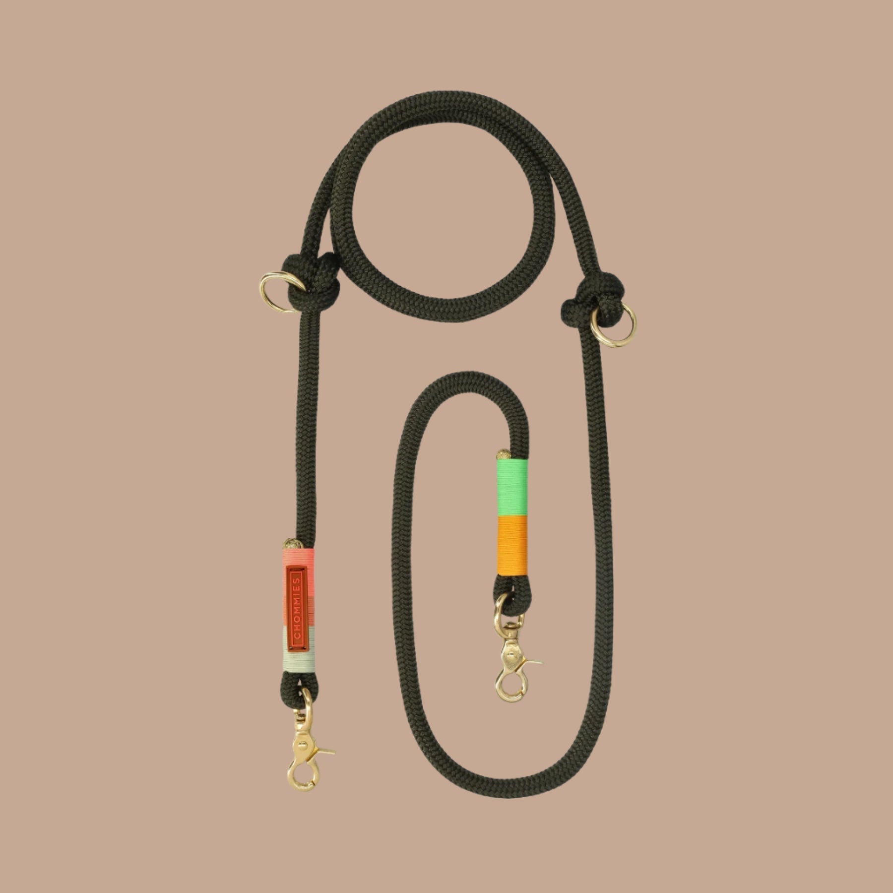 HANDS FREE DOG LEASH spring