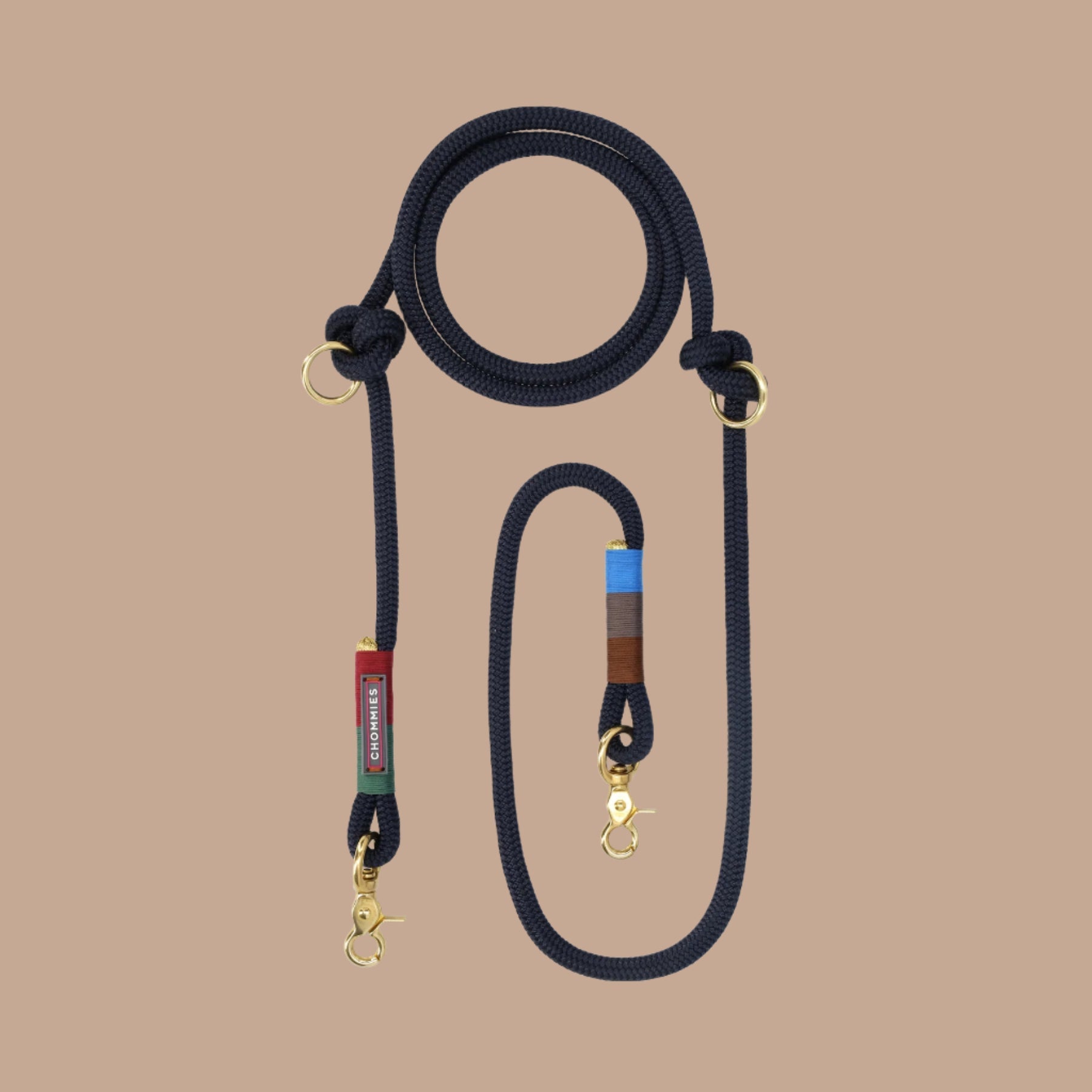 HANDS FREE DOG LEASH winter