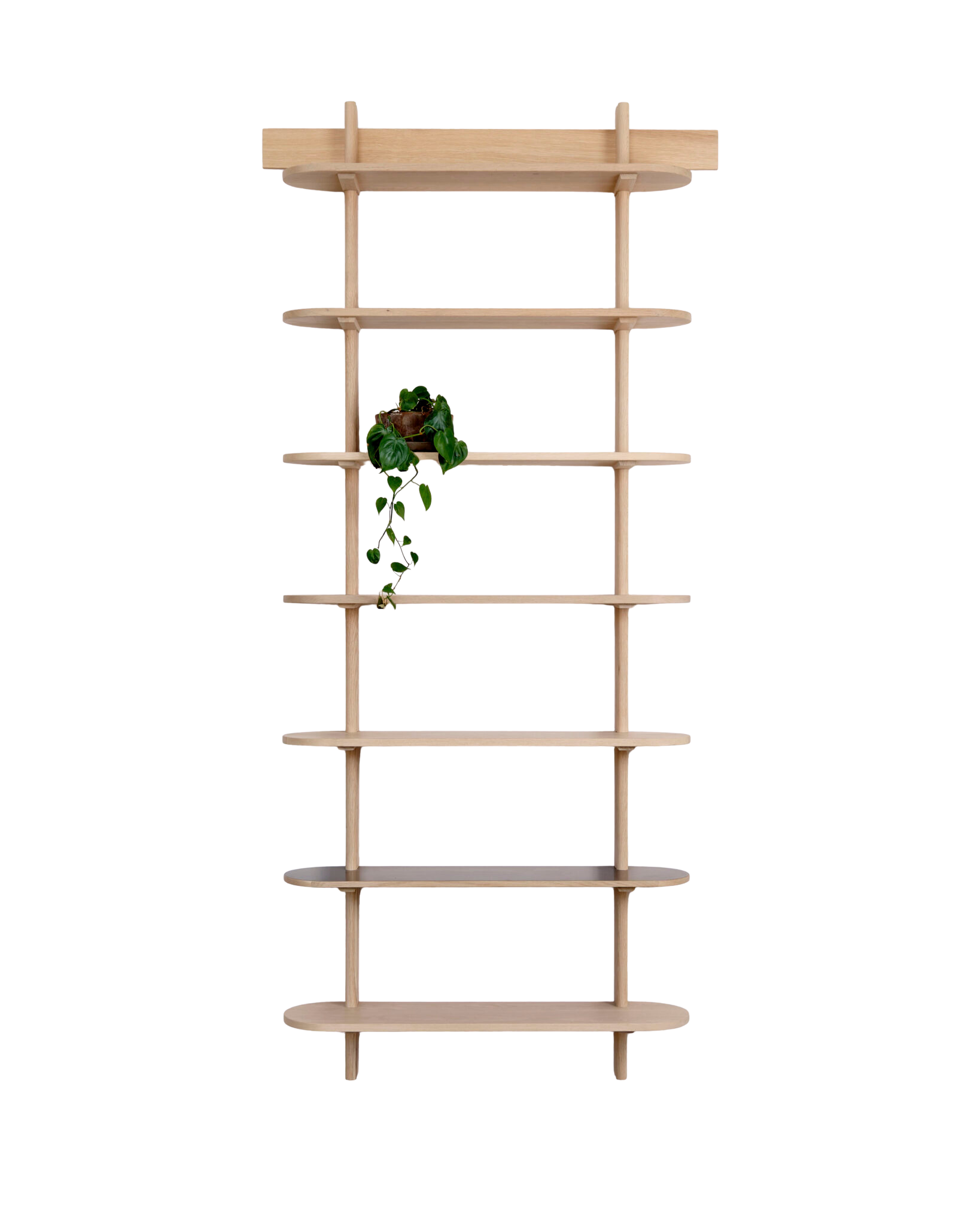 ROUNDED HANGING shelves
