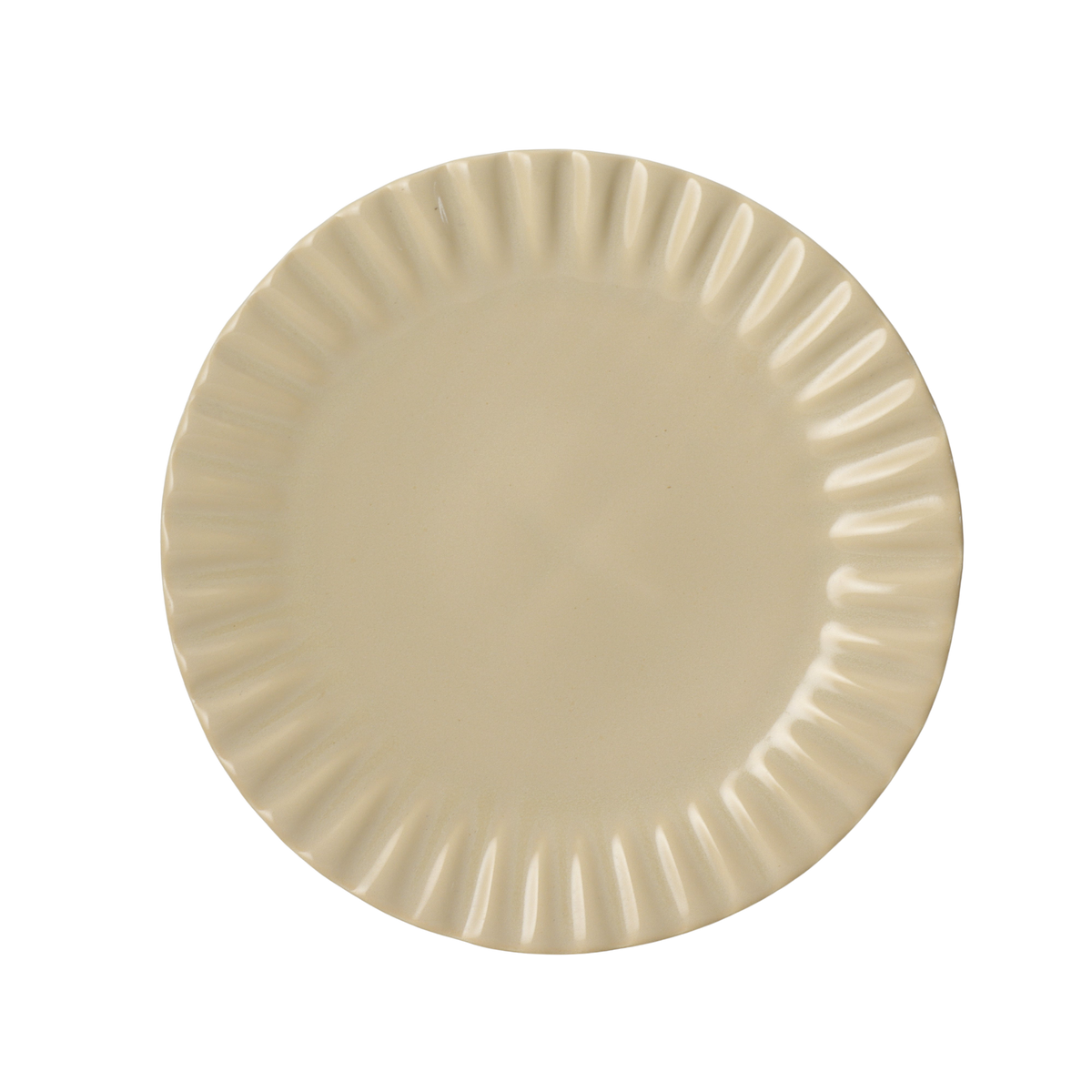 PAPRER DINNER plate
